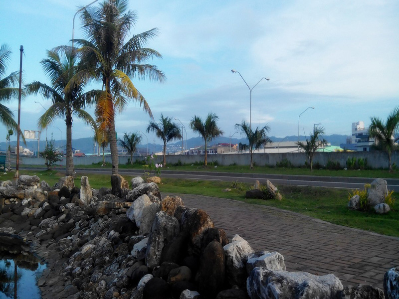 city view by the bay