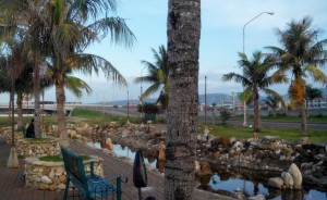 pepsncoks-cebu-city-view-by-the-bay