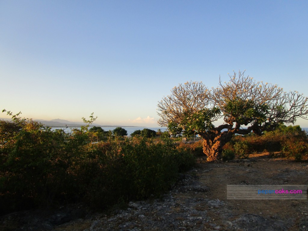 pepsncoks-parola-liloan-cebu