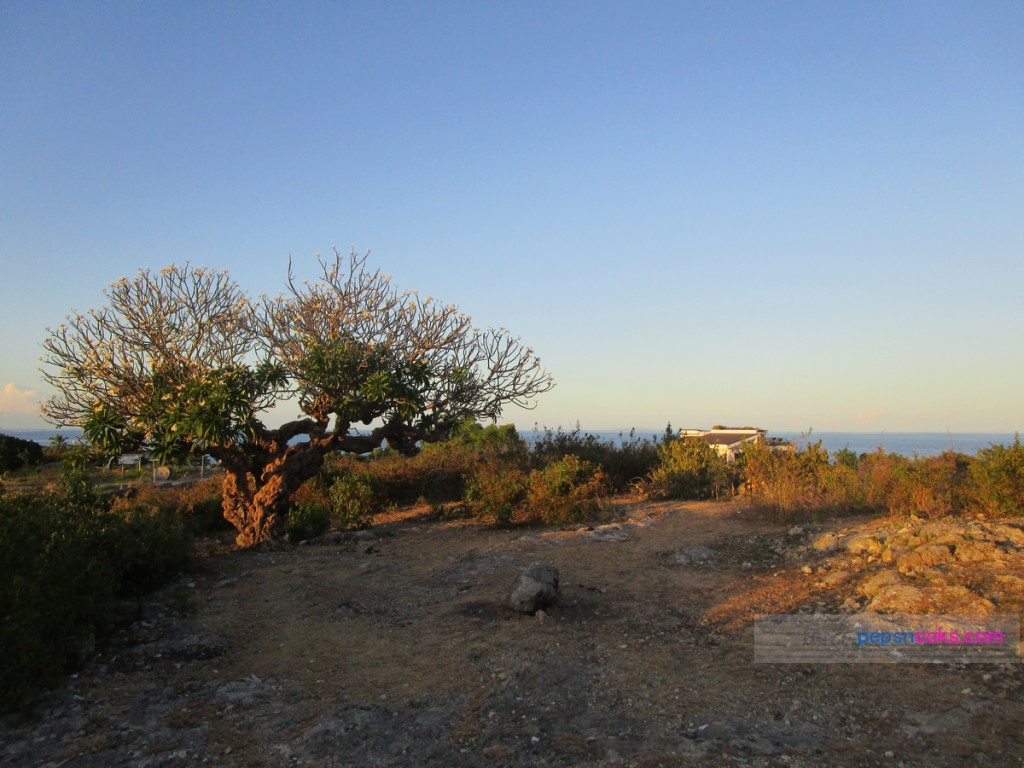 pepsncoks-parola-liloan-cebu