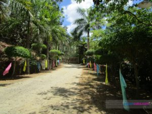 pepsncoks-genesis-valley-mountain-resort-01