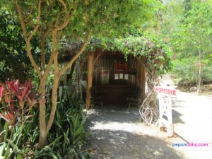 pepsncoks-genesis-valley-mountain-resort-01
