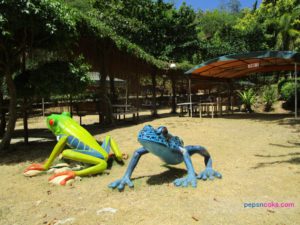 pepsncoks-genesis-valley-mountain-resort-01
