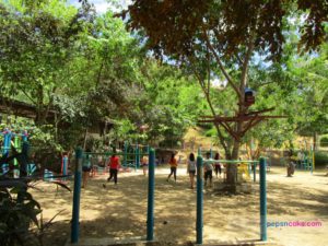 pepsncoks-genesis-valley-mountain-resort-01