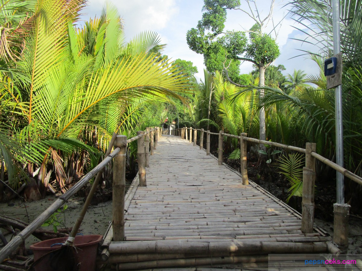 Punong Lake in Samboan Cebu