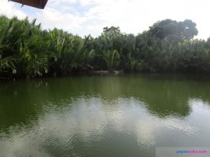 punong lake samboan