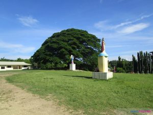 mesmerized aloguinsan
