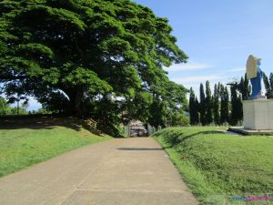 mesmerized aloguinsan