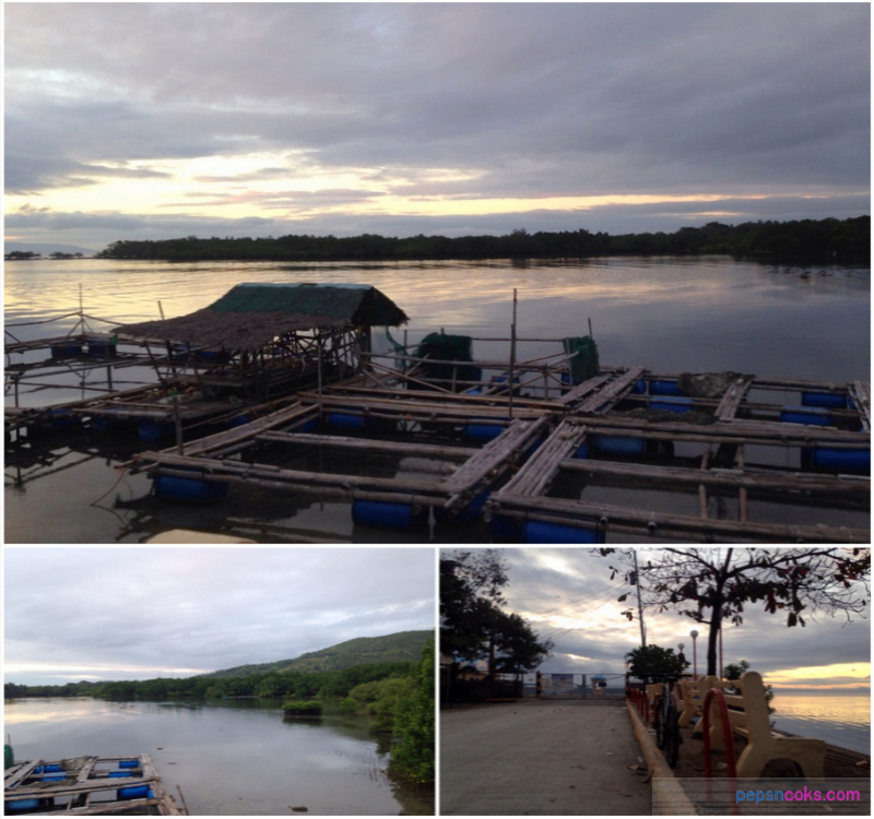 taloot wharf argao cebu