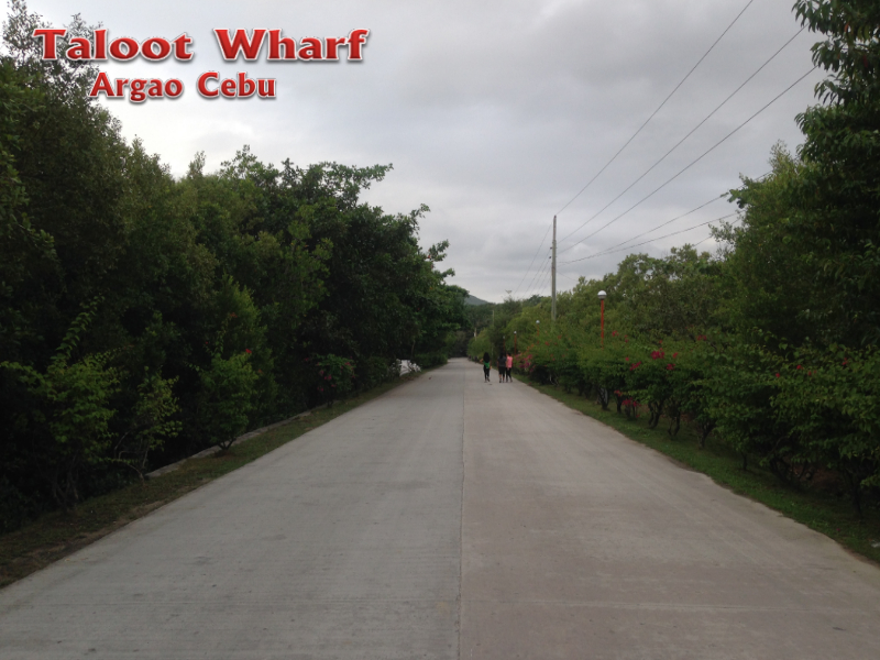 taloot wharf argao cebu