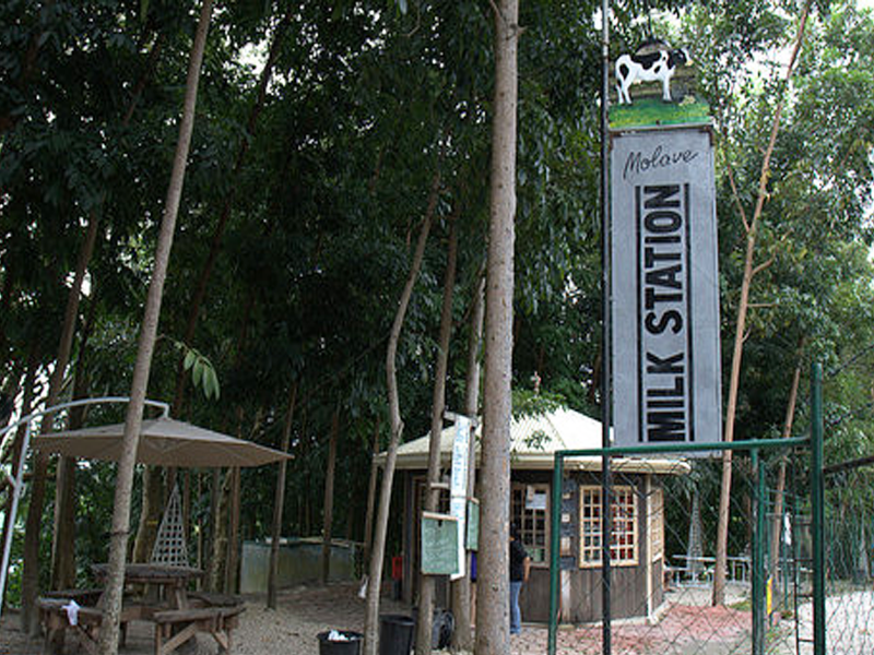 barili cebu philippines