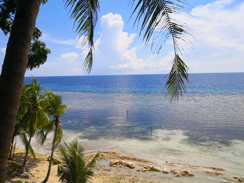 south haven dalaguete