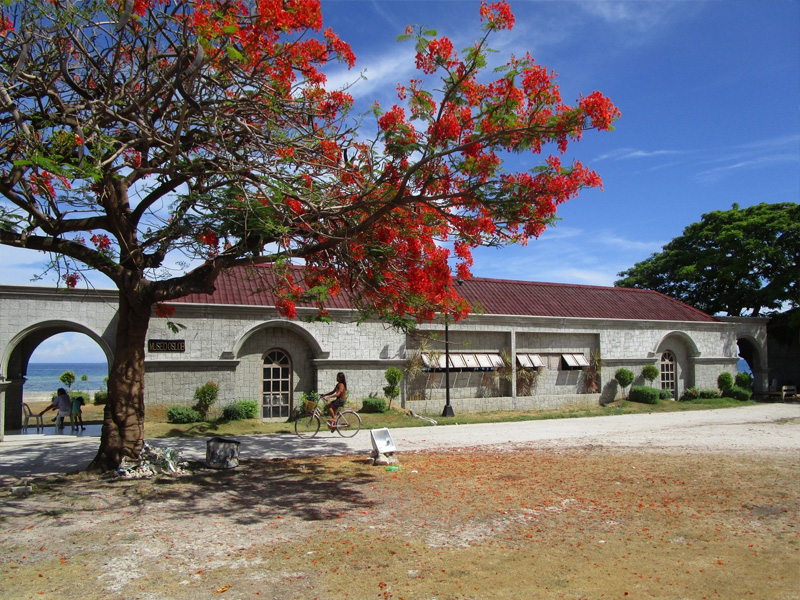 oslob cebu beaches and destinations