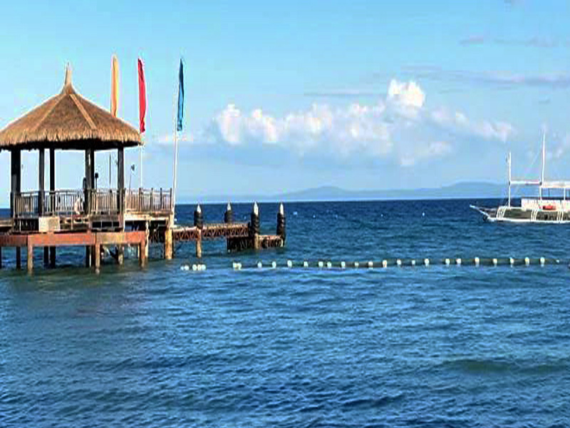 pulchra san fernando