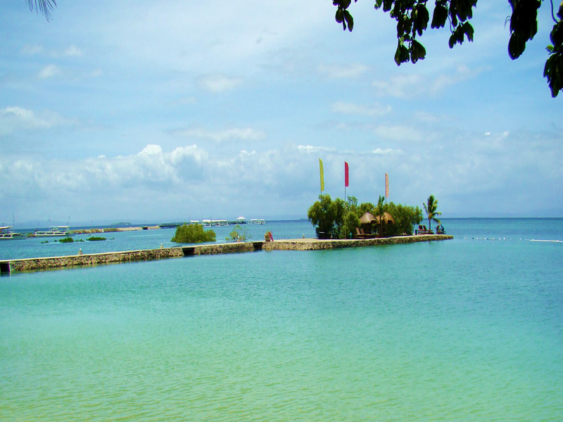 lowaii cebu marine lapu-lapu