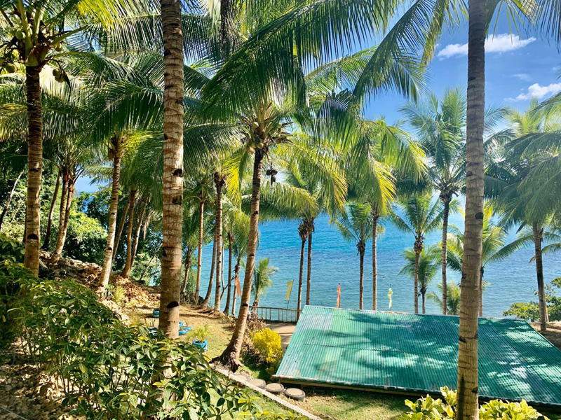camotes mistula