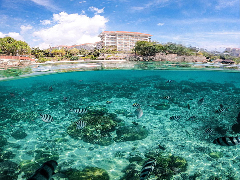 Shangri-la Beach side