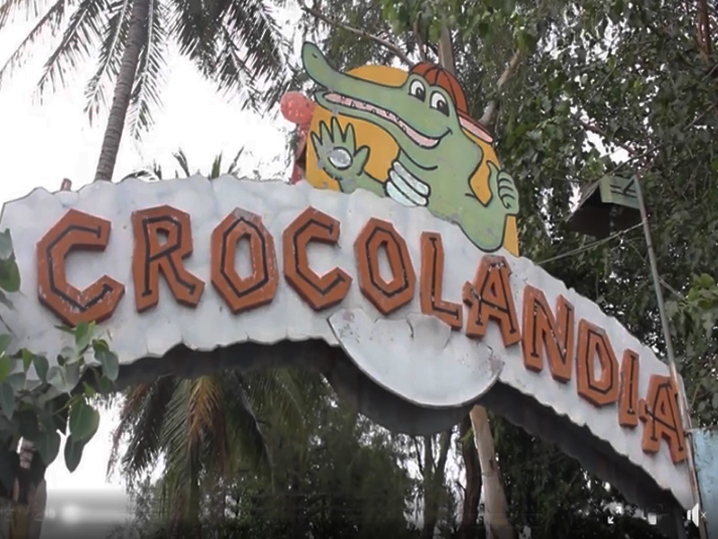 crocolandia talisay