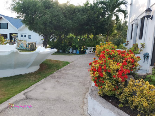 serendipity resort argao