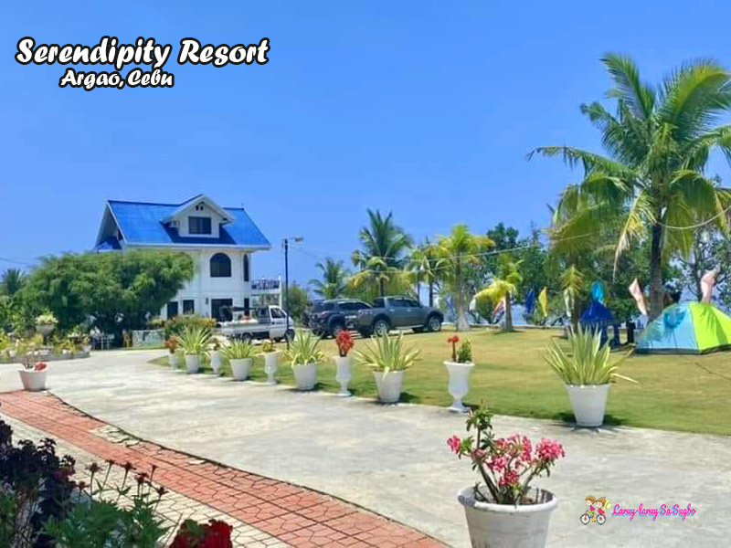 serendipity resort argao