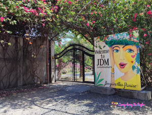 JDM bougainvelleas garden